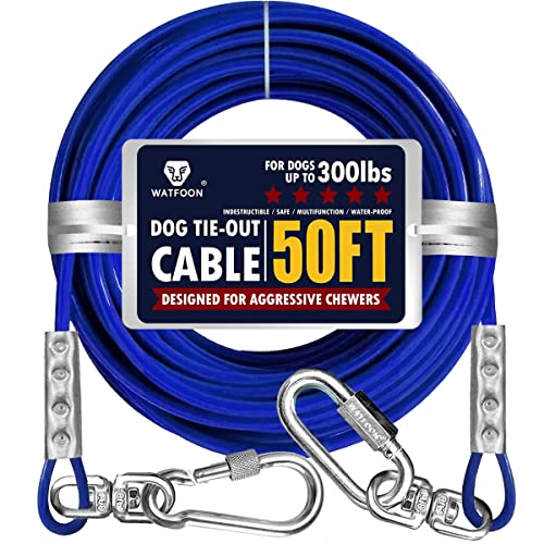 Unleash the Power of Durability A Guide to the Top 10 Heavy Duty Dog