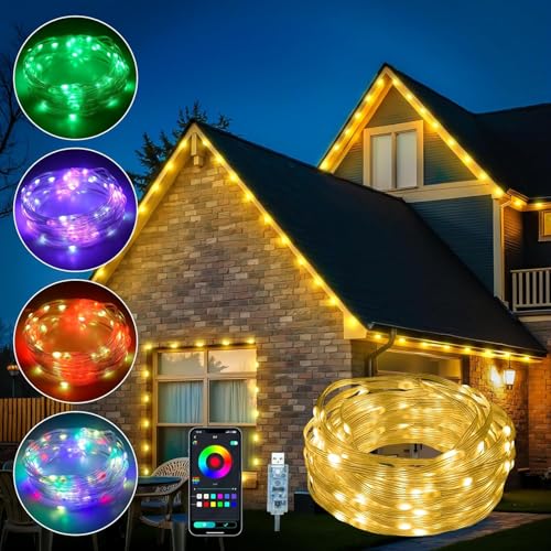 indoor string lights app-control