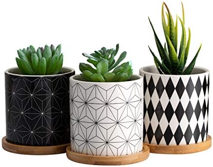 Dsben 3.2 Inch Succulent Plant Pots, Small Modern Flower Ceramic Planter Indoor with Bamboo Tray for Cactus, Herbs, Home, Set of 3 (Plants Not Included)