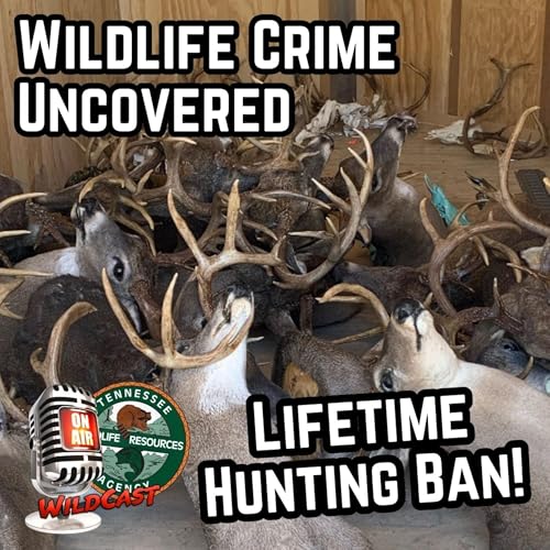 #467 Wildlife Crime Uncovered: 50+ Deer Poached & Lifetime Hunting Ban!