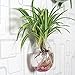 Set of 2 Wall Mounted Clear Glass Terrariums Hanging Flower Vase
