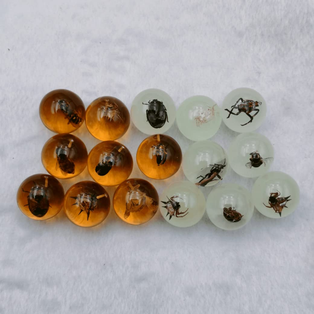 Multiple Psc Spherical Insect Amber Fossil, Spherical Luminous Insect Specimen, Educational and Scientific Amber Collection (16Pcs)