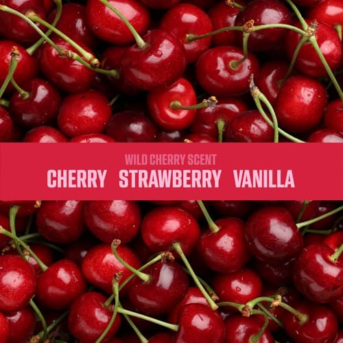 Image of Ozium Odor Eliminating Gel Air Freshener 4.5 oz Wild Cherry 2-Pack | For Home, For Car, For Office