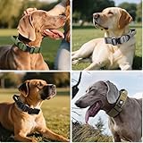 Ledeak Taktisches Hundehalsband mit Griff, Weich Gepolstert Verstellbares Hunde Halsband mit Robustem Adlerverschluss aus Metall, Polypropylen Tactical Dog Collar für Mittlere Große Hunde (Grün, L)