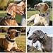 Ledeak Taktisches Hundehalsband mit Griff, Weich Gepolstert Verstellbares Hunde Halsband mit Robustem Adlerverschluss aus Metall, Polypropylen Tactical Dog Collar für Mittlere Große Hunde (Grün, L)