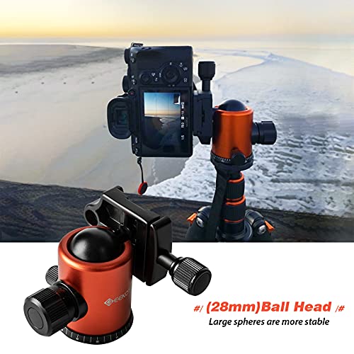 Camera Tripod, Geekoto 77" Aluminum Tripod for DSLR, Monopod with 360° Panoramic Ball Head and 1/4 Inch Quick Release Plate for Photography, Travel and Work Camera Tripod, Geekoto 77" Aluminum Tripod for DSLR, Monopod with 360° Panoramic Ball Head and 1/4 Inch Quick Release Plate for Photography, Travel and Work
