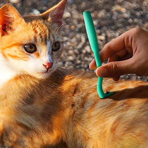 Zeckenzange Quesuc Zeckenhaken | ohne Zerquetschungsgefahr | 3 Größen alle Zecken Anti Zeckenhebel Schutz Hund Katze Pferd | Alternative Zecken Mittel Karte Pinzette Halsband Tablette Zange Entferner