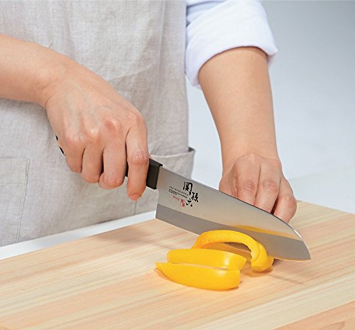 Image of Kai Moegi Stainless Steel Petty Knife, 1-Piece, Black & Silver
