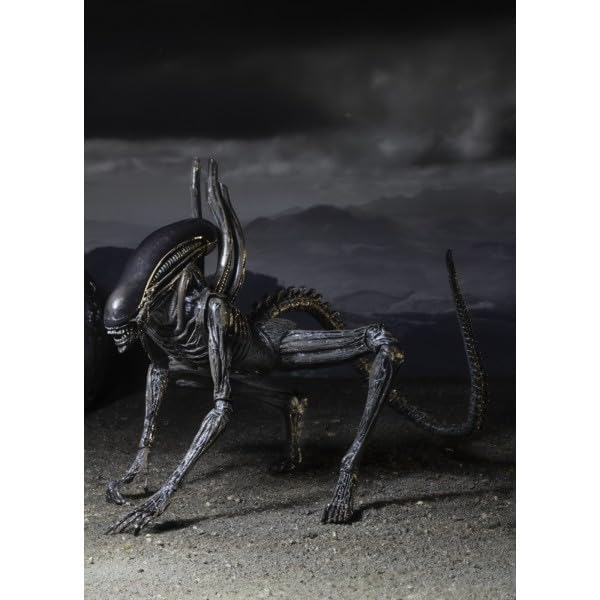 Figura de acción Coleccionable Xenomorpha de la película 'Alien' 18 cm con 20 Puntos de articulación