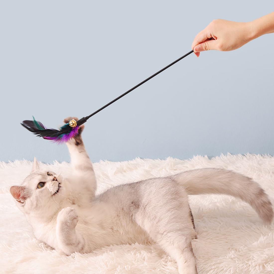 5 Pezzi Giochi Per Gatti Con Piume - Bacchette Interattive Per Divertimento