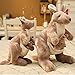 Ruzucoda Plush Kangaroo Stuffed Animals Toys Dolls Gifts for Kids Boys Girls 11 Inches