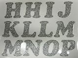 DIY 1.25-Inch Glitter Iron-On Letters in Silver