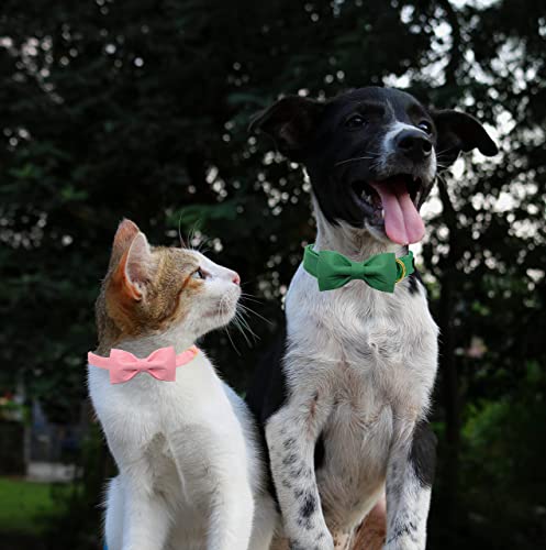 Unique style paws Dog Collar with Bowtie - Image 4