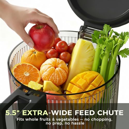 Cold Press Masticating Juicer Machine