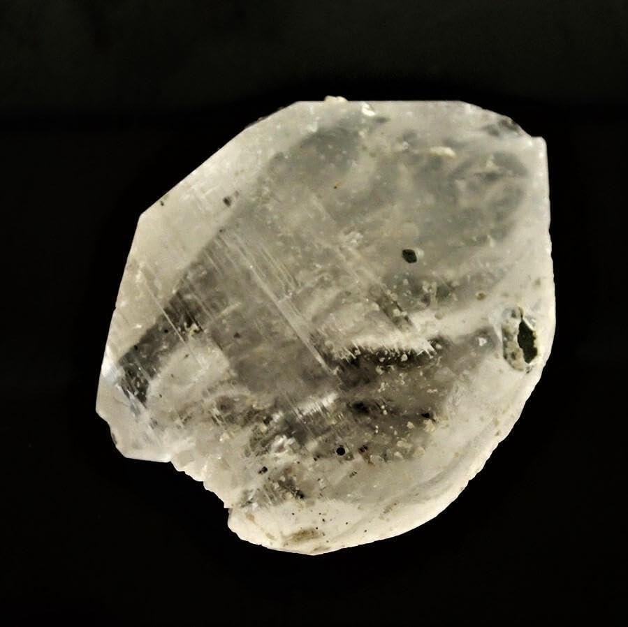 チェロ弓 ドイツ製 W. SEIFERT No.130 3/4サイズ W.Seifert【チェロ弓