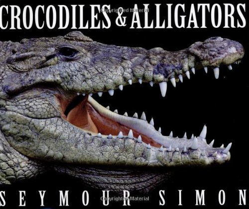 Crocodiles & Alligators