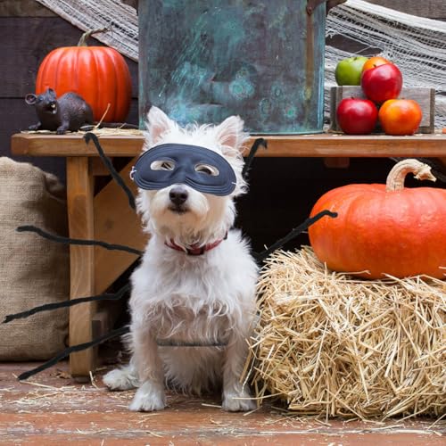 Disfraz de Araña para Perros y Gatos Talla L miniatura 5