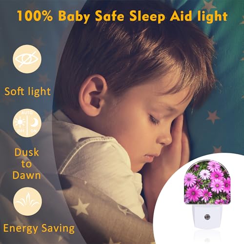 Image of Purple Daisies Flowers Night Light, Beautiful Blooming Daisy Dusk to Dawn Night Light Plug in,0.5w Energy Saving Sleep Friendly NightLight for Kids Boys Girls Home Decor