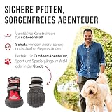 KONG Sportschuhe für kleine Hunde 4 Stück in Größe S I Hochwertiger Pfotenschutz mit Polsterung I Bequeme Schuhe für Hundepfoten I Einfache & sichere Nutzung I Robustes & waschbares Material