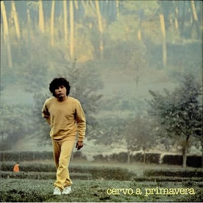 Riccardo Cocciante- Cervo a primavera(1980) vinile