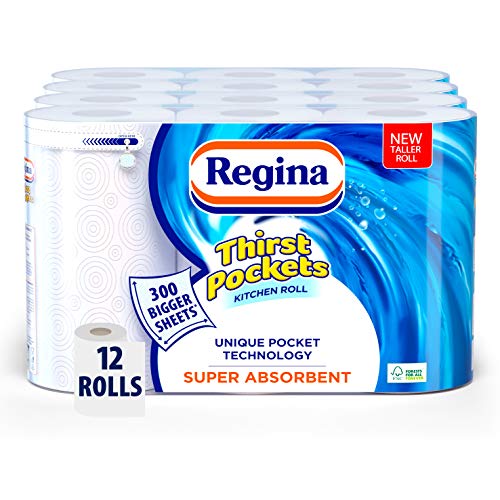 Preisvergleich Produktbild Regina Thirst Pockets Küchenrolle, groß