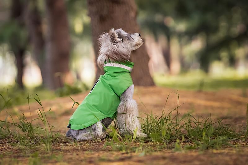 BT Bear Dog Raincoat,Adjustable Waterproof Lightweight Rain Jacket with Reflective Strip Dog Poncho Raincoat for Small Dogs,Green L - Image 2