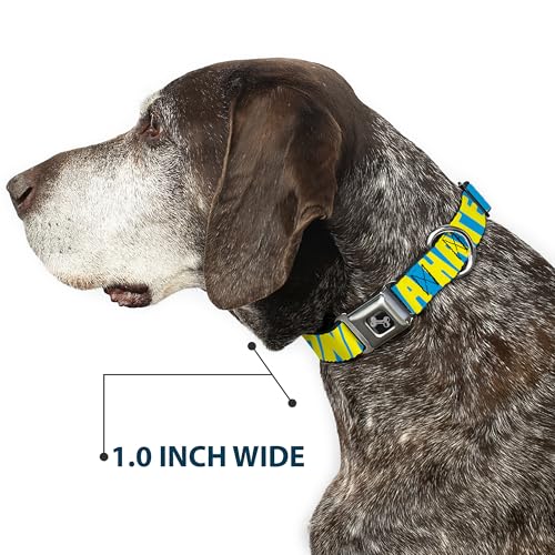 Collier de chien réglable turquoise jaune résout problème traction grand cou
