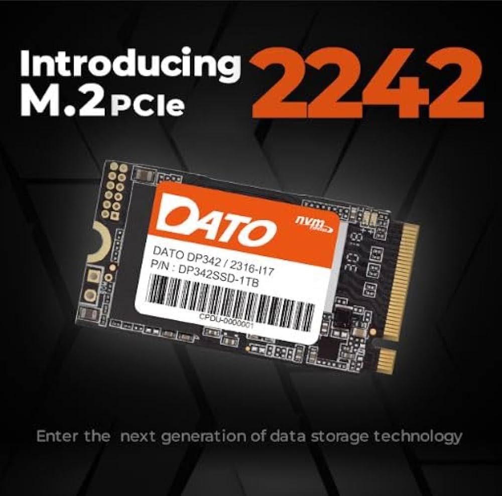 DATO DP342 1TB M.2 2242 PCIe Gen3x4 NVMe 1.3 SSD Internal
