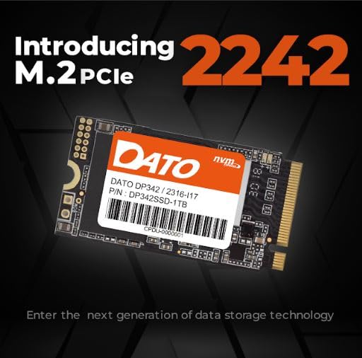 DATO DP342 1TB M.2 2242 PCIe Gen3x4 NVMe 1.3 SSD Internal