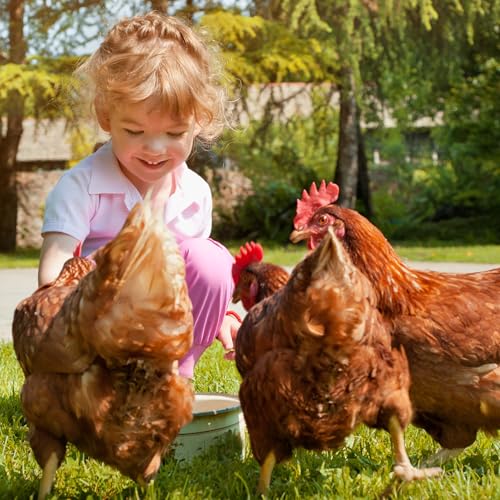 Ida Plus - Gurlite® Pulver gegen Milben – Natürlich gegen die Rote Vogelmilbe – Effektiver als Kieselgur oder Kieselerde – Ökologisch zugelassen – für Hühner, Wachteln & anderes Geflügel - OHNE CHEMIE