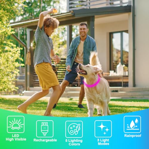 AUAUY LED Leuchthalsband Hund mit D-Ring, USB Aufladbar Längenverstellbarer Haustier Sicherheit Kragen Zuschneidbares Wasserdicht Leuchthalsband für Kleine Mittel Große Hunde (5 Farben+3 Leuchtmodi)