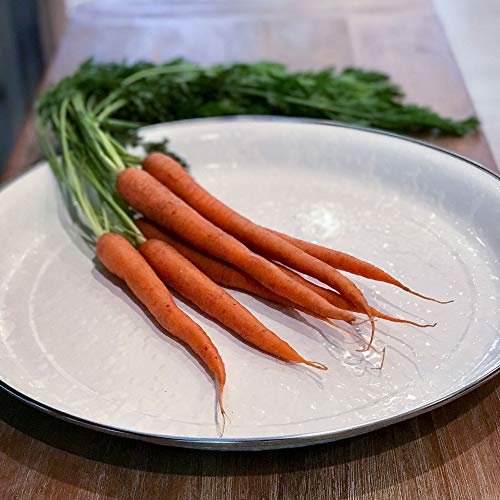 Golden Rabbit Enamelware - Solid White Pattern - 15.5" Medium Tray #TOP2