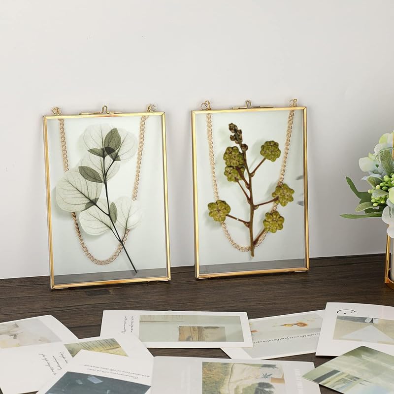 Wall Hanging Glass Frame for Pressed Flowers - Easy to Open Clear Picture Frame - Gold Floating Press Frames - Plant Specimen Dried Art Display, Rectangular Frame_03