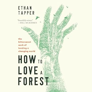 Page de couverture de How to Love a Forest