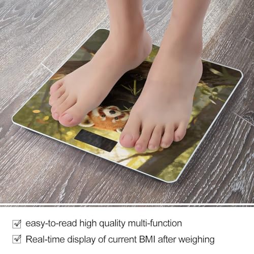 Báscula Digital Animal Collection para Baño 400 lb miniatura 5