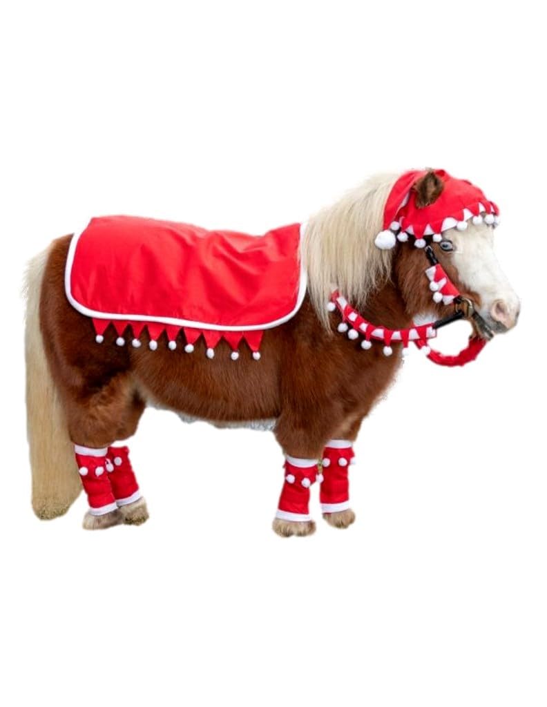 Tough 1 Mini 5 Piece Western Santa Set