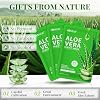 30 Pack Mascarillas Faciales Hidratantes de Aloe Vera para el Cuidado de la Piel, Humectantes y Calmantes | Mascarillas de Sábana para el Cuidado de la Piel, Mascarillas de Aloe al por Mayor para el Cuidado Post-Solar, Regalos de Spa para Mujeres Todo Tipo de Piel 1 Unidad (Paquete de 30) 4