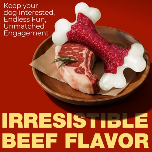 Tough Dog Toys, Toys for Aggressive Chewers Large Breed, Chew Dogs, Bone Toy Nylon Dogs Almost Indestructible