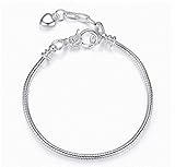 ICYROSE The Forever Bracelet Stainless Steel Starter Charm Bracelet for Adults & Kids Fits European Style Beads Comes with 2 Beads (Lobster Claw 8