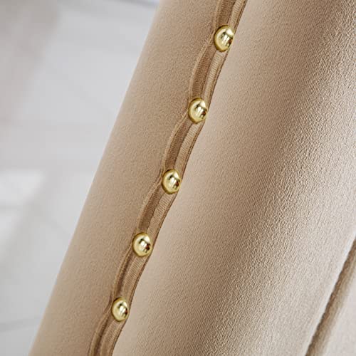 Auz Dining Chairs With Nail Head Trim, Modern Velvet Upholstered Dining Room Chairs In Lovely Color With Polished Gold Stainless Steel Legs, Set Of 2 #TOP5