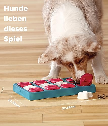 Outward Hound Nina Ottosson Hundespielzeug Intelligenz - Stufe 2 Erfahrene - Leckerli-Spender, Beschäftigung & Intelligenzspielzeug für Hunde & Welpen, bei Langeweile & mentaler Stimulation