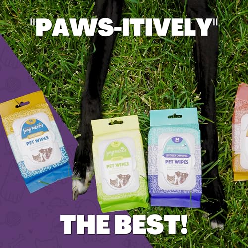 FurryFriends Pet Wipes | BlackBerry | Hypo-allergenic | Alcohol Free| Deodorizing | Removes Loose Hair & Dirt | Incredibly Clean | 200 ct. 1 Pack — view 6