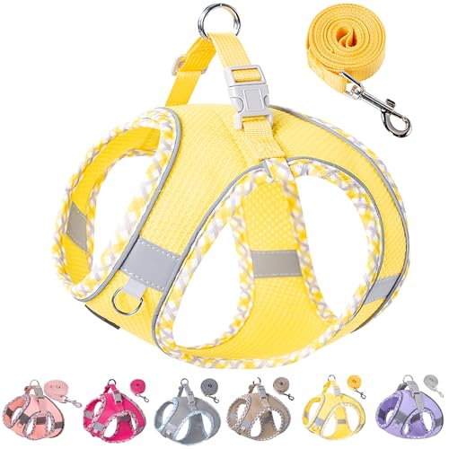 Image of Petank Dog Harness for Small Medium Dogs No Pull, Puppy Harness and Leash Set for Walking, Running, Training, Small Dog Harness, Medium Dog Harness (Yellow, S)