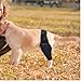 CiCixixi Hunde Kniebandage Hinterbein, Hunde Kniebandage, Hunde Hinterbein Bandage Hunde Klammer Hinterbein Hunde-Kniestütze für Hunde Klammer Hinterbein (L)