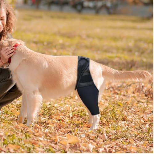 CiCixixi Hunde Kniebandage Hinterbein, Hunde Kniebandage, Hunde Hinterbein Bandage Hunde Klammer Hinterbein Hunde-Kniestütze für Hunde Klammer Hinterbein (L)