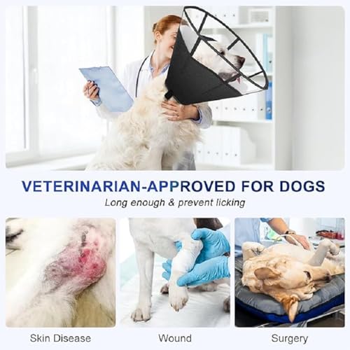 Collerette pour chien ajustable et respirable pour chiot