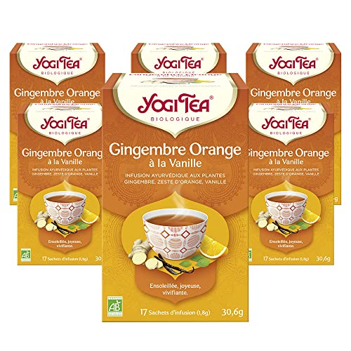 YOGI TEA, Gingembre Orange à la Vanille, Infusion Bio, Tisane Naturellement Sans Caféine, Mélange de Gingembre, Ecorce d'Orange et Vanille, 102 (6x17) Sachets de Thé