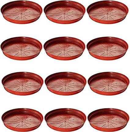 See full amazon price history chart for Khushals Planter Tray, Base Plate, Plastic Pot Saucer (Brown, 6-inch) - {Set of 6} Khushals Planter Tray, Base Plate, Plastic Pot Saucer (Brown, 6-inch) - {Set of 6} (B0BT28R4R2) Amazon Price History, Amazon Price Tracker