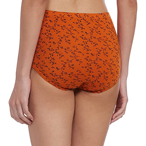 Image of Amante Inner Elastic Cotton Full Brief Panty Pack- Pack of 3