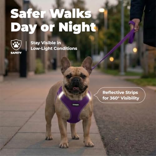 Image of Voyager Step-in Air Dog Vest Harness - Purple, X-Large
